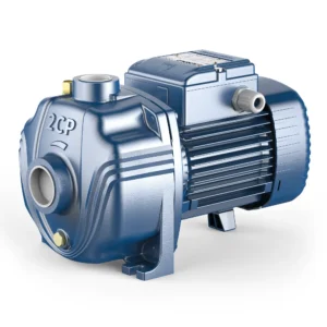 Pedrollo 2CP 25-130 twin-impeller centrifugal pump for industrial, commercial, and residential water systems in UAE