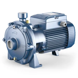 Pedrollo 2CP twin-impeller centrifugal pump for industrial, commercial, and residential water systems in UAE